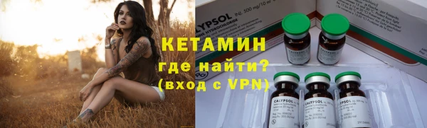 шишки Верхний Тагил