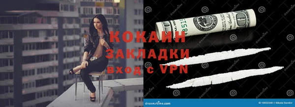 шишки Верхний Тагил