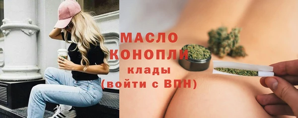 шишки Верхний Тагил