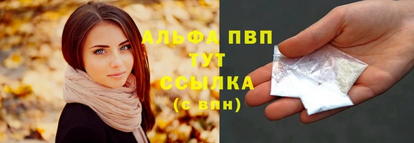 шишки Верхний Тагил