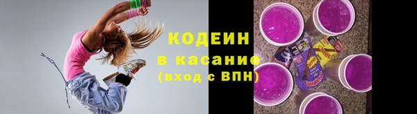 шишки Верхний Тагил