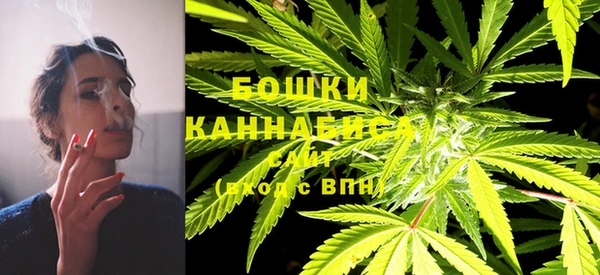 шишки Верхний Тагил