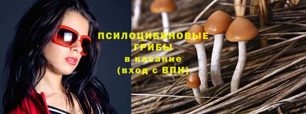 Альфа ПВП Верхнеуральск